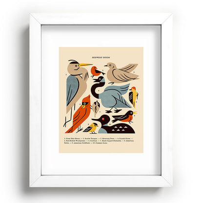Midwest Birds Guide Framed Art Print Gallery Image 103