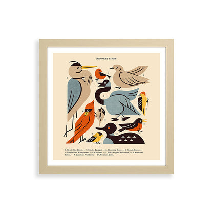 Midwest Birds Guide Framed Art Print Gallery Image 71