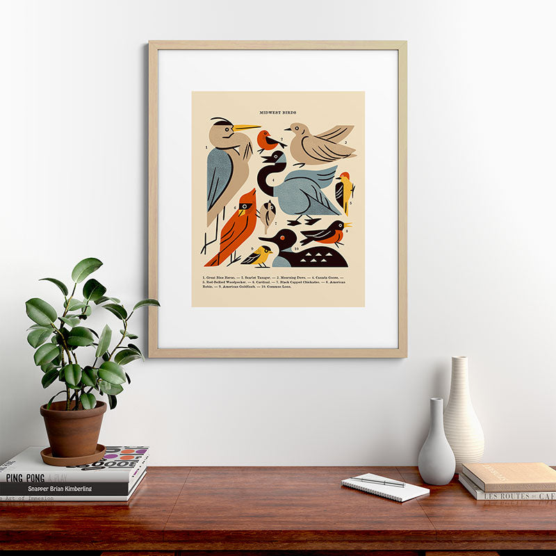 Midwest Birds Guide Framed Art Print Gallery Image 67