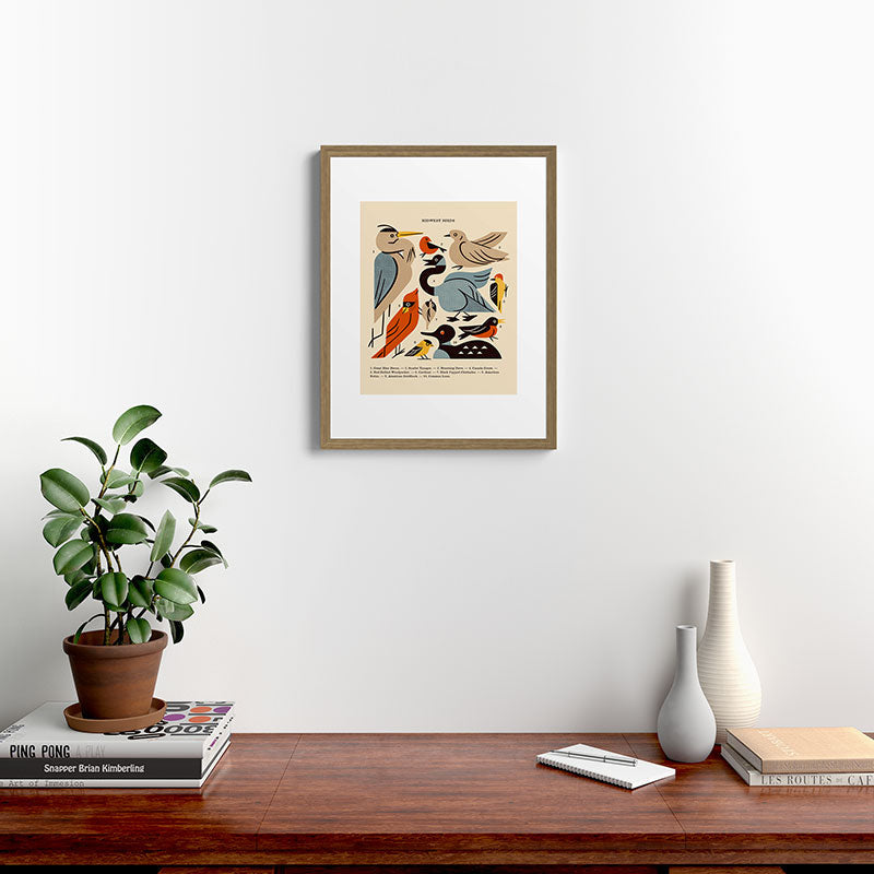 Midwest Birds Guide Framed Art Print Gallery Image 16