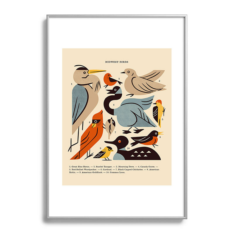 Midwest Birds Guide Framed Art Print Gallery Image 132