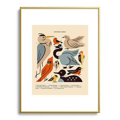 Midwest Birds Guide Framed Art Print Gallery Image 125