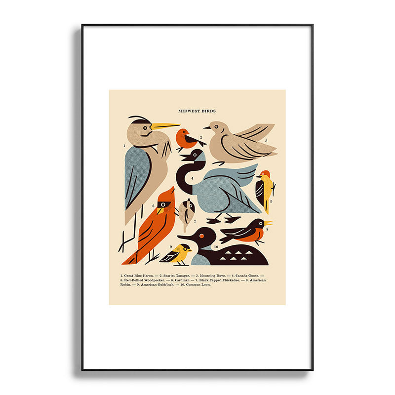Midwest Birds Guide Framed Art Print Gallery Image 117