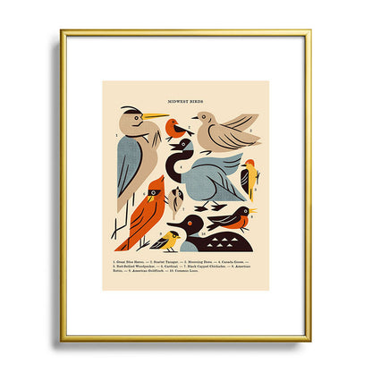Midwest Birds Guide Framed Art Print Gallery Image 120