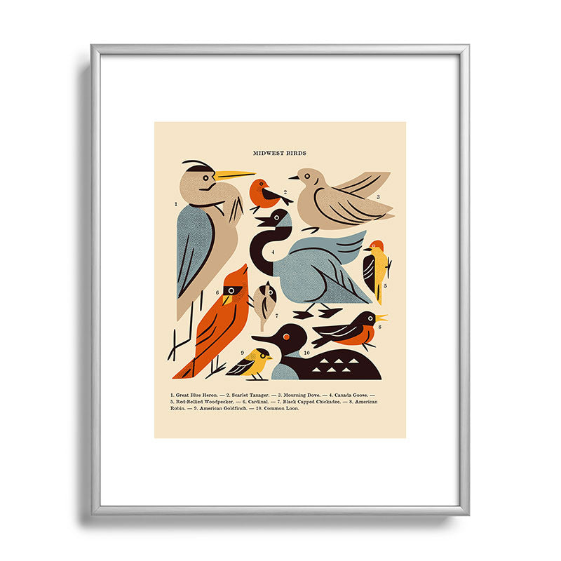 Midwest Birds Guide Framed Art Print Gallery Image 129