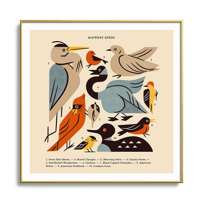 Midwest Birds Guide Framed Art Print Gallery Image 136