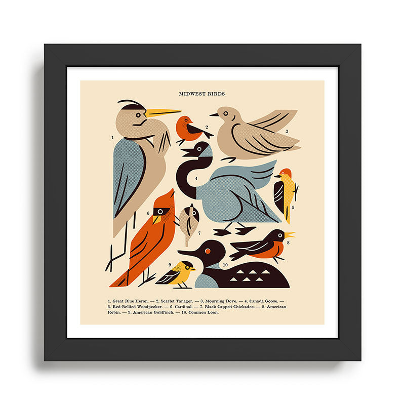 Midwest Birds Guide Framed Art Print Gallery Image 2