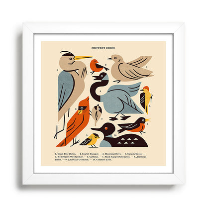 Midwest Birds Guide Framed Art Print Gallery Image 35
