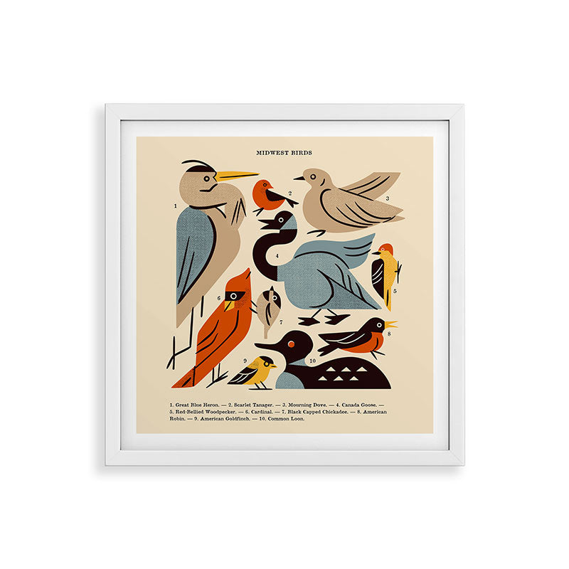 Midwest Birds Guide Framed Art Print Gallery Image 38