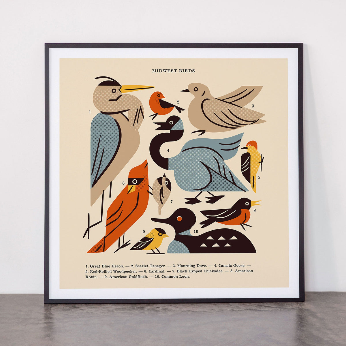 Midwest Birds Guide Framed Art Print Gallery Image 11