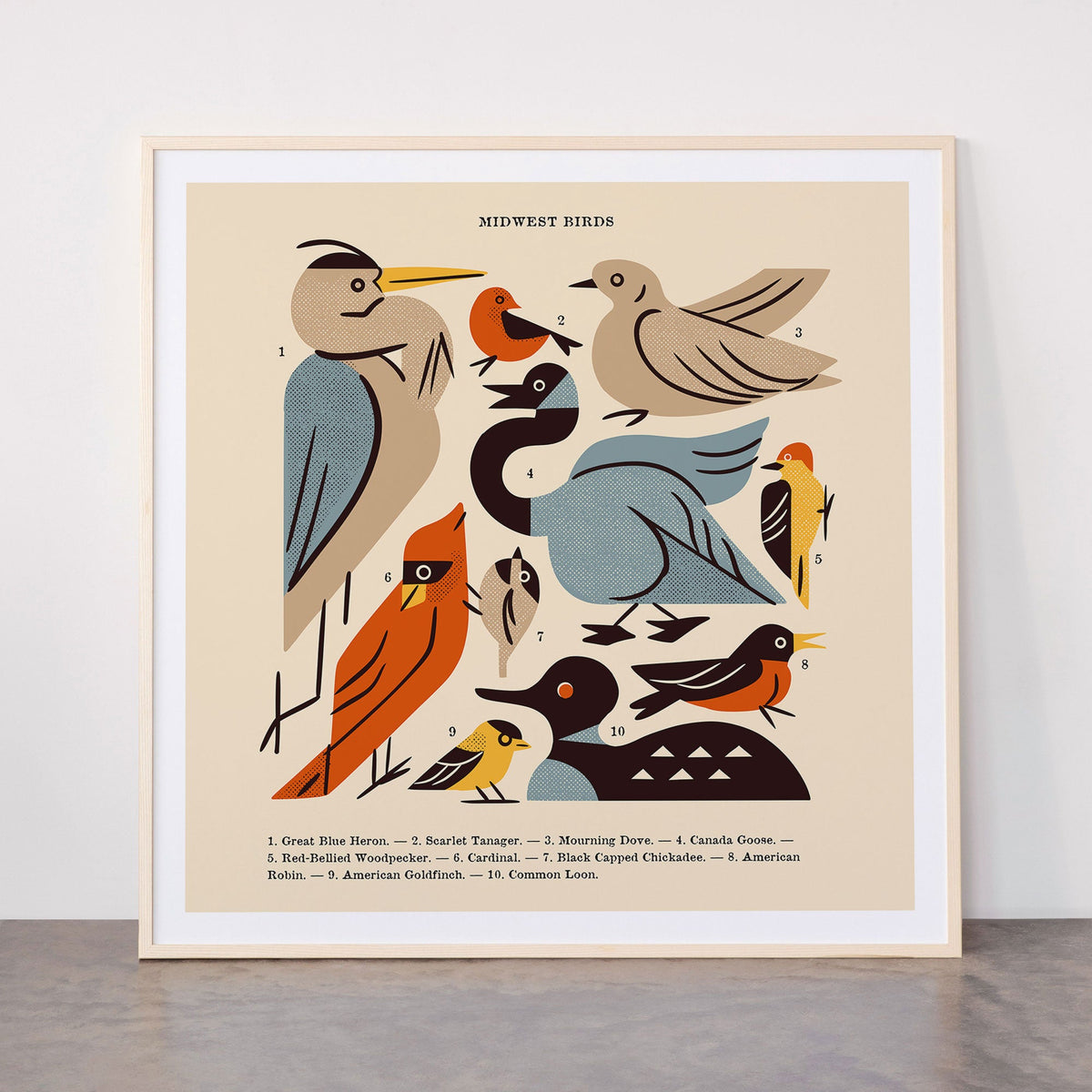 Midwest Birds Guide Framed Art Print Gallery Image 33