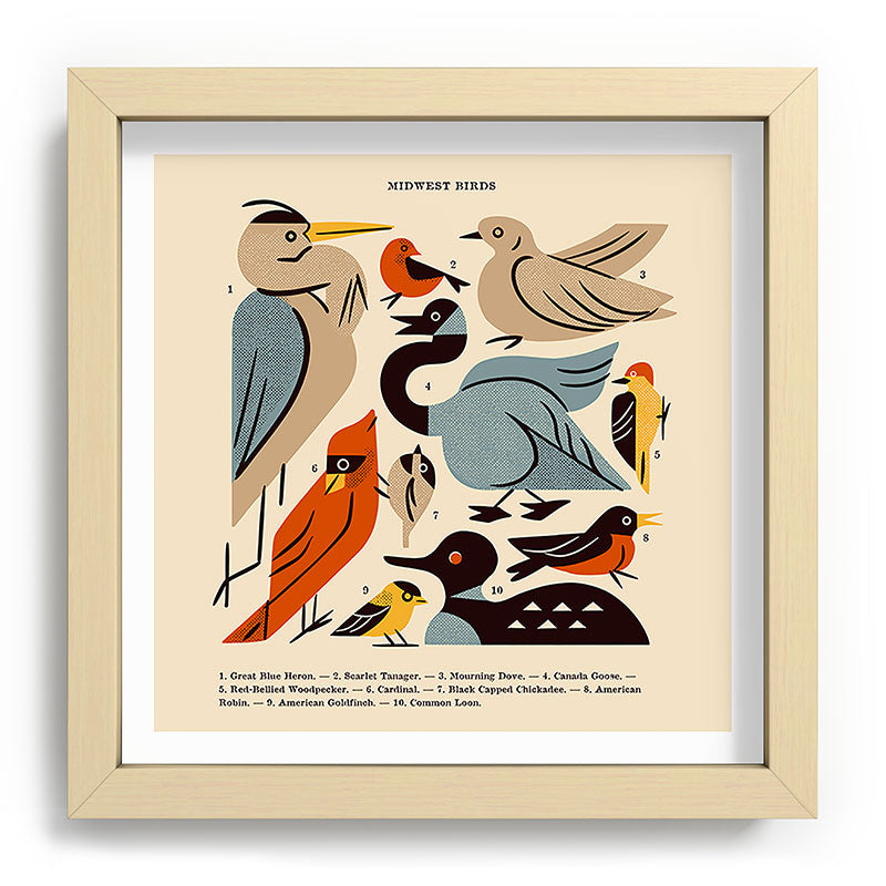 Midwest Birds Guide Framed Art Print Gallery Image 106