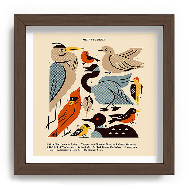 Midwest Birds Guide Framed Art Print Gallery Image 98