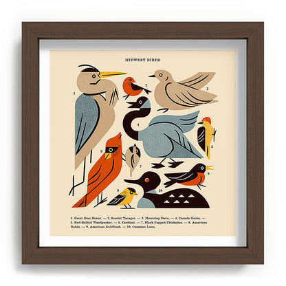 Midwest Birds Guide Framed Art Print Gallery Image 98