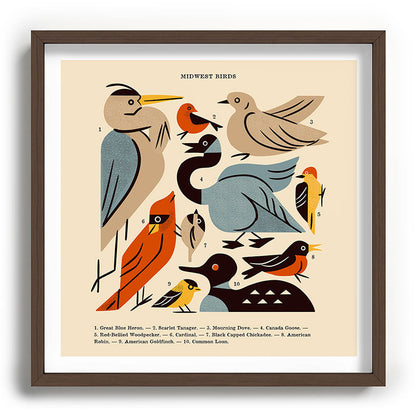 Midwest Birds Guide Framed Art Print Gallery Image 101
