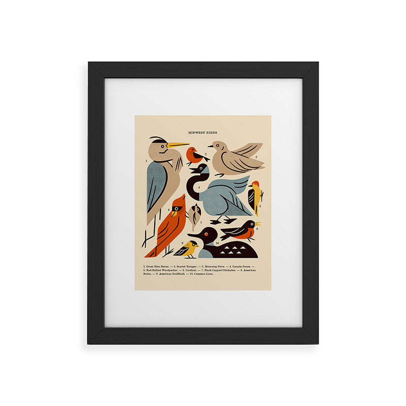 Midwest Birds Guide Framed Art Print Gallery Image 47