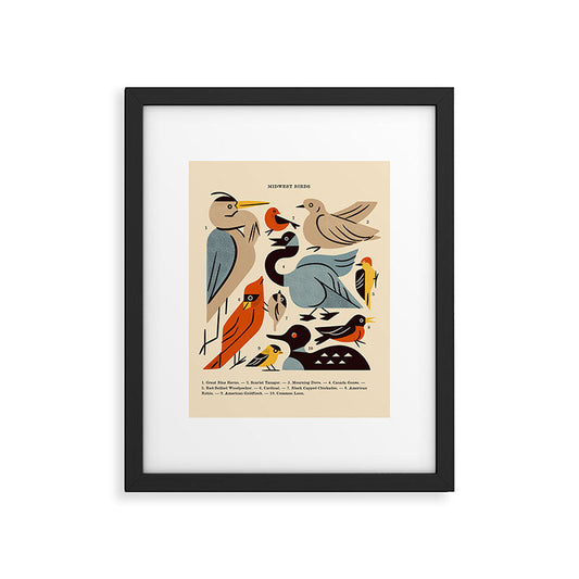 Midwest Birds Guide Framed Art Print Gallery Image 1