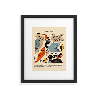 Midwest Birds Guide Framed Art Print Gallery Image 5