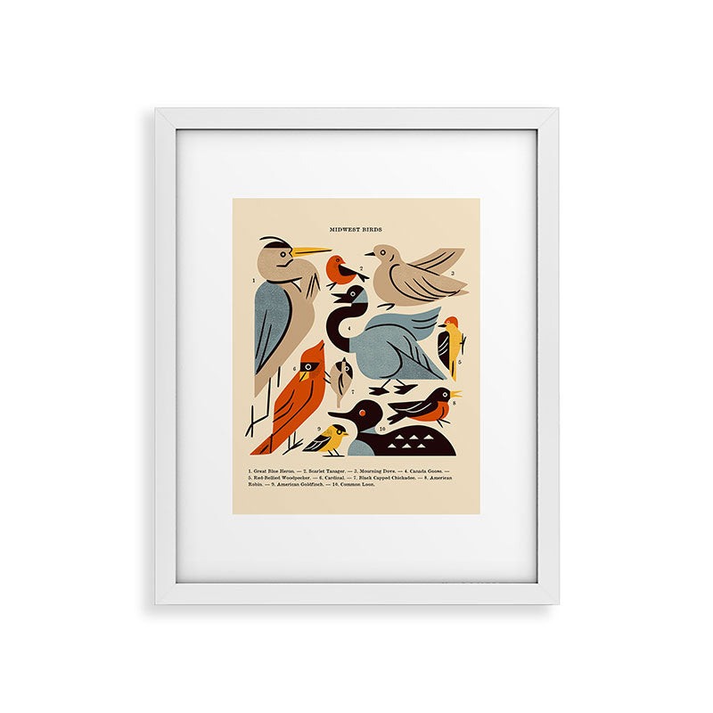 Midwest Birds Guide Framed Art Print Gallery Image 31