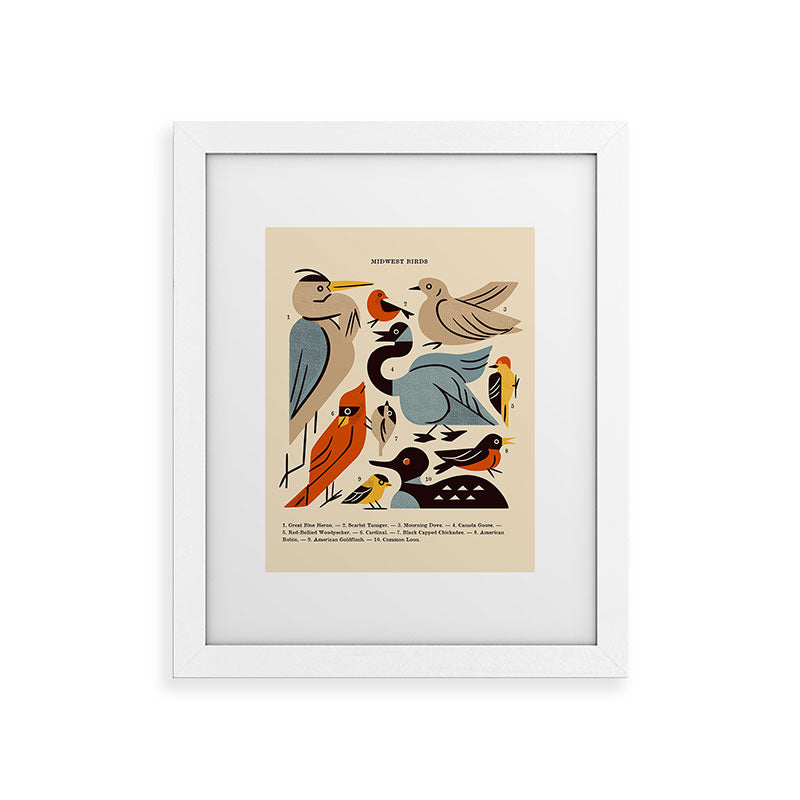 Midwest Birds Guide Framed Art Print Gallery Image 70