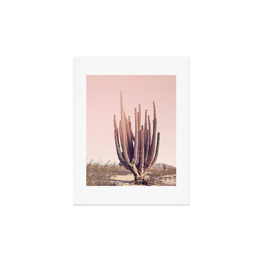 Blush Cactus Art Print Gallery Image 2