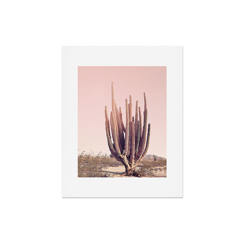 Blush Cactus Art Print Gallery Image 5