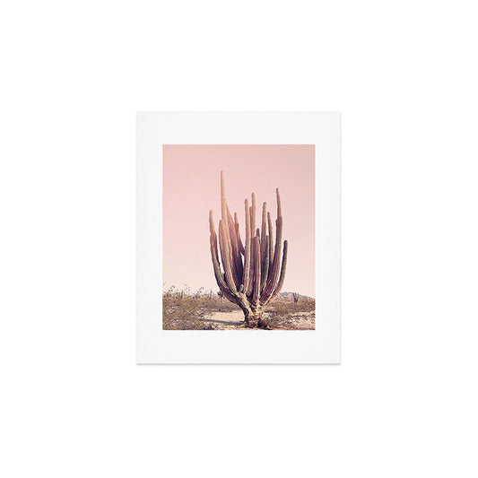 Blush Cactus Art Print Gallery Image 1