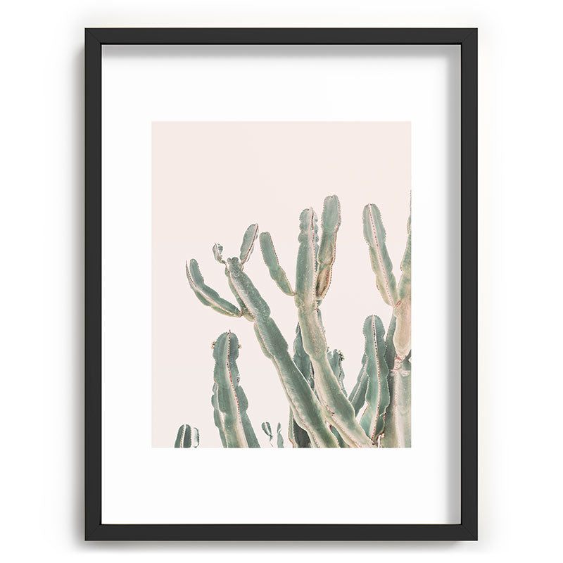 Sunrise Cactus Framed Art Print Gallery Image 60