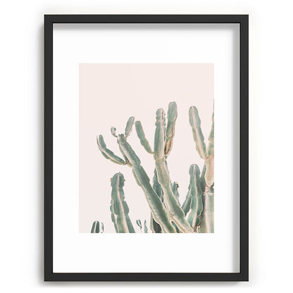 Sunrise Cactus Framed Art Print Gallery Image 60