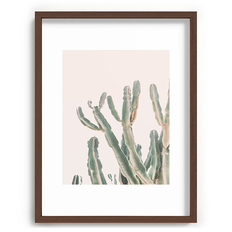 Sunrise Cactus Framed Art Print Gallery Image 66