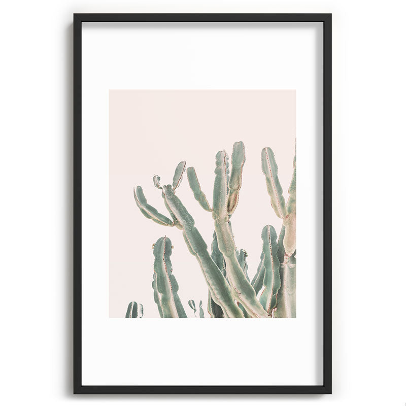Sunrise Cactus Framed Art Print Gallery Image 62