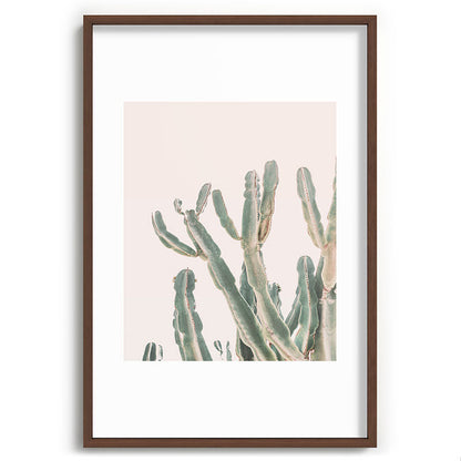 Sunrise Cactus Framed Art Print Gallery Image 68