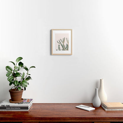 Sunrise Cactus Framed Art Print Gallery Image 16