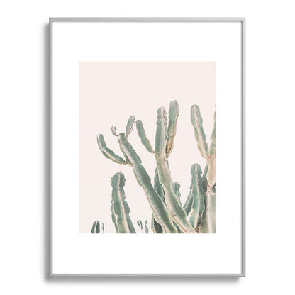 Sunrise Cactus Framed Art Print Gallery Image 99