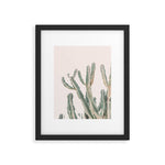 Sunrise Cactus Framed Art Print Gallery Image 1