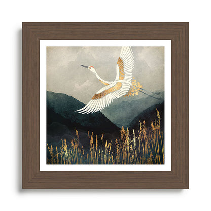Elegant Flight Framed Art Print Gallery Image 57