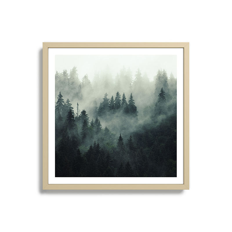 Green misty mountain pine forest in cloudy and rainy - vintage style photo Framed Art Print Gallery Image 27