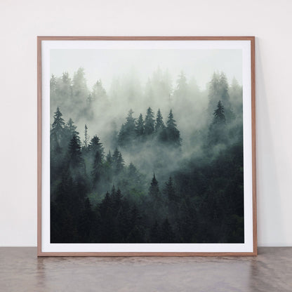 Green misty mountain pine forest in cloudy and rainy - vintage style photo Framed Art Print Gallery Image 21