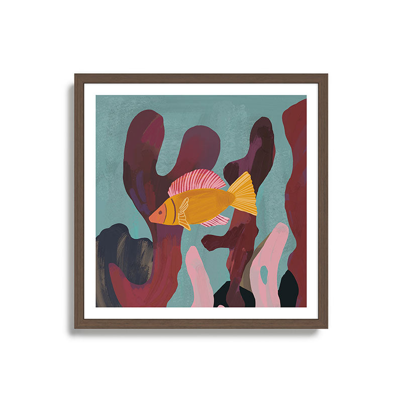 Coral and Fish Framed Art Print Gallery Image 5