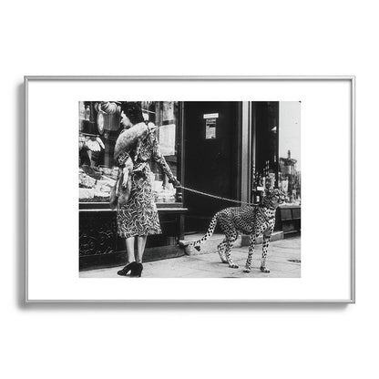 Leopard on a Leash, Black and White Vintage Art Framed Art Print Gallery Image 97