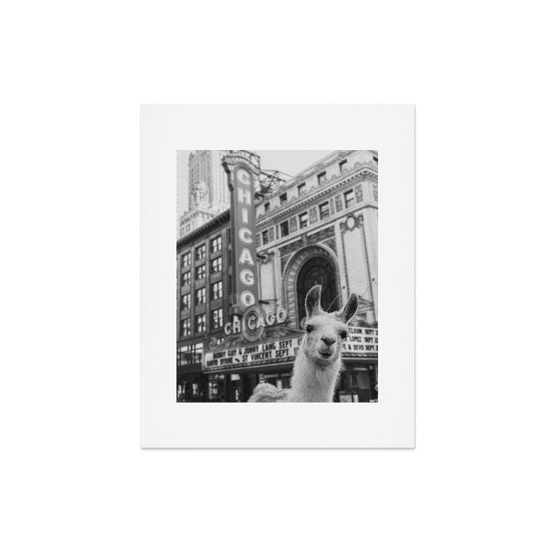 Chicago Llama Art Print Gallery Image 5